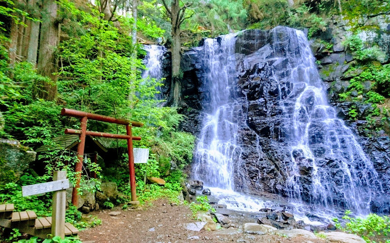 母の白滝