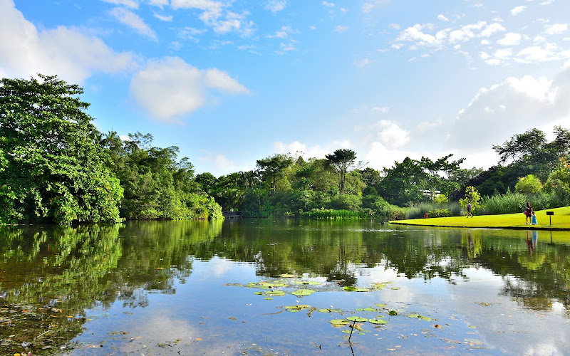 シンガポール・ボタニック・ガーデンズ・エコ・レイク