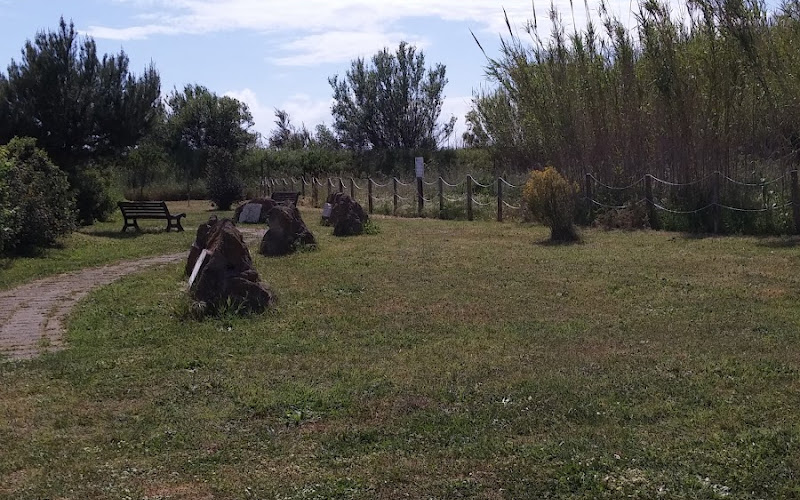 Pier Paolo Pasolini Park