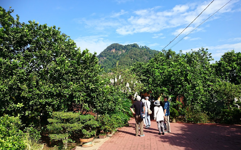 Tambun Pomelo GoChin Agro Farm