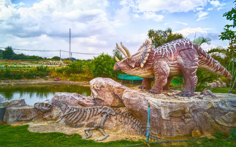 The Bonanza Exotic Park