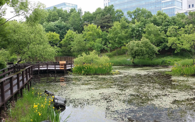Toad Ecological Culture Center