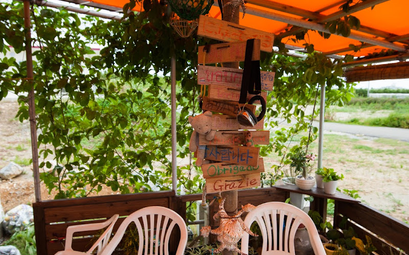 파라 모토부 치킨