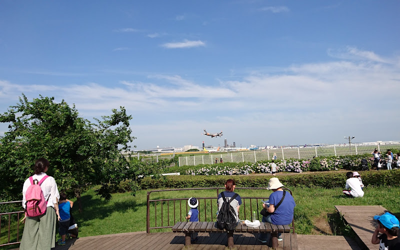 成田市さくらの山