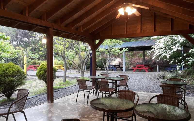 숲속의작은세상