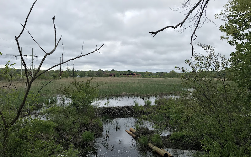 Tophet Swamp