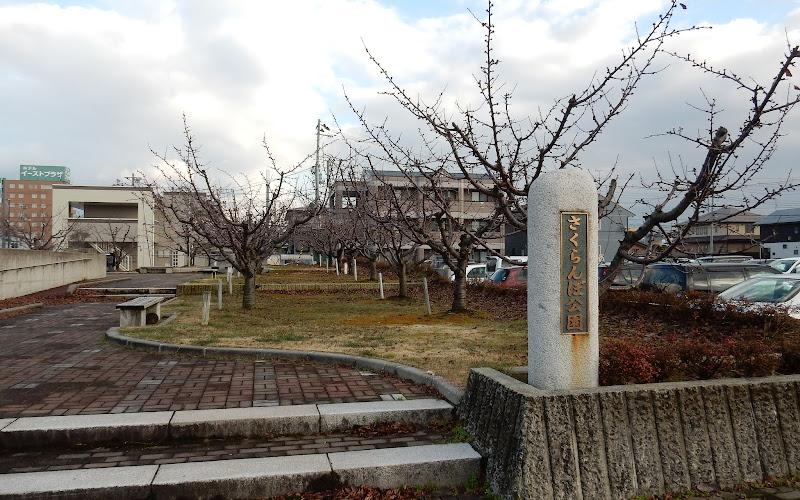 Sakuranbo Park