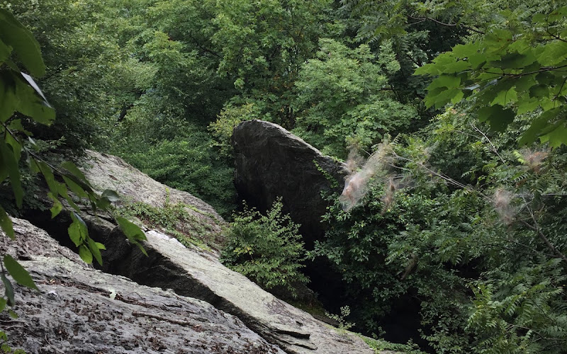 Devil’s Den Nature Preserve