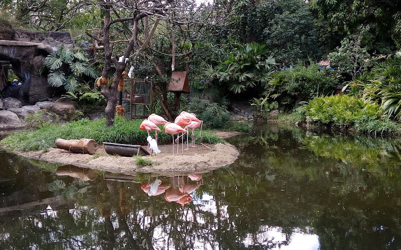 Zoológico de Cali