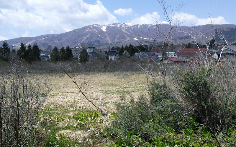蛭ヶ野高層湿原植物群落