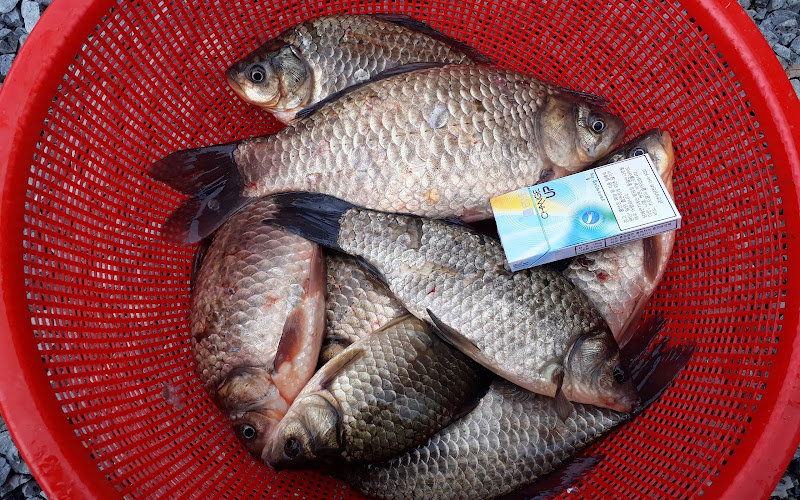 산장십리골가든