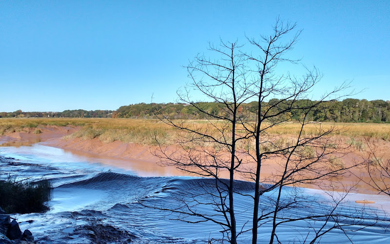 Miner's Marsh Hiking Trail