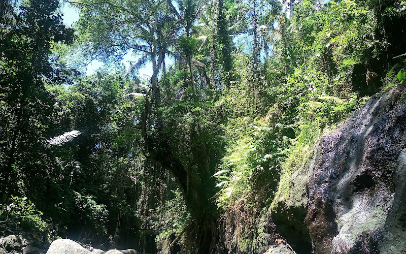 Tegal linggah Cliff Temple