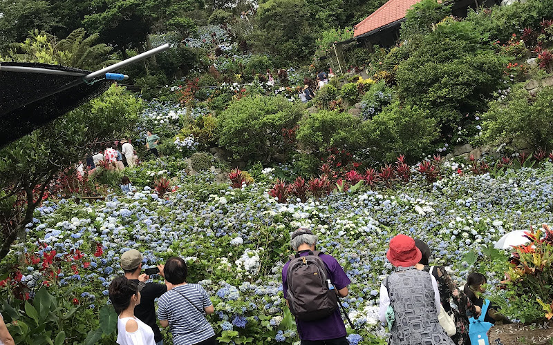 요헤나 아지사이엔(수국원)