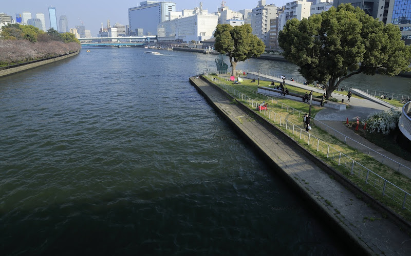中之島公園 芝生広場