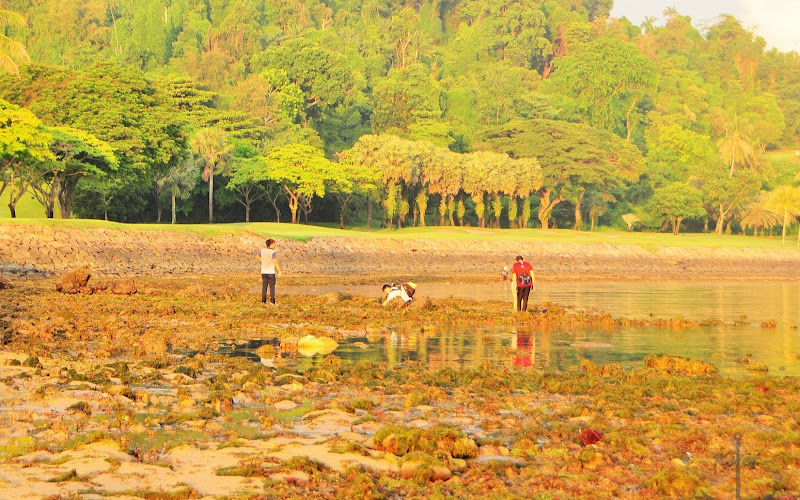 Sentosa Serapong Reefs