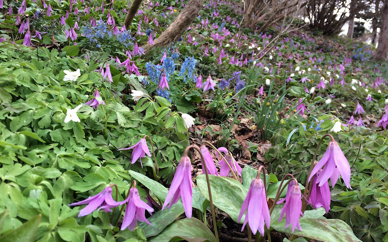 Takahashisanyaso Park
