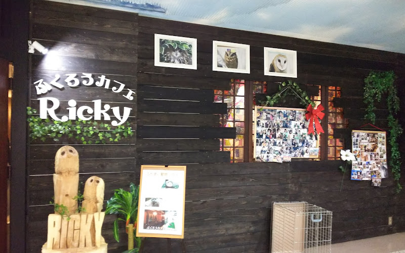 Owl Cafe Ricky