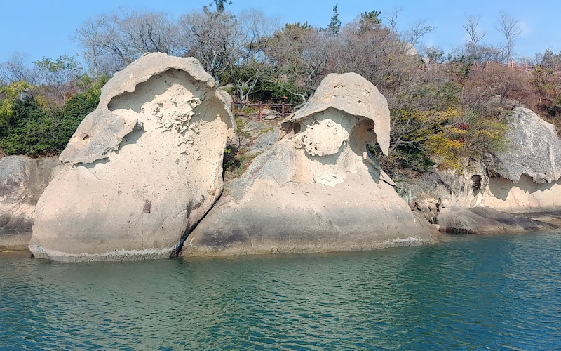 木浦自然史博物館