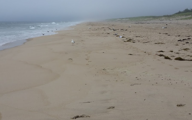 Amagansett National Wildlife Refuge