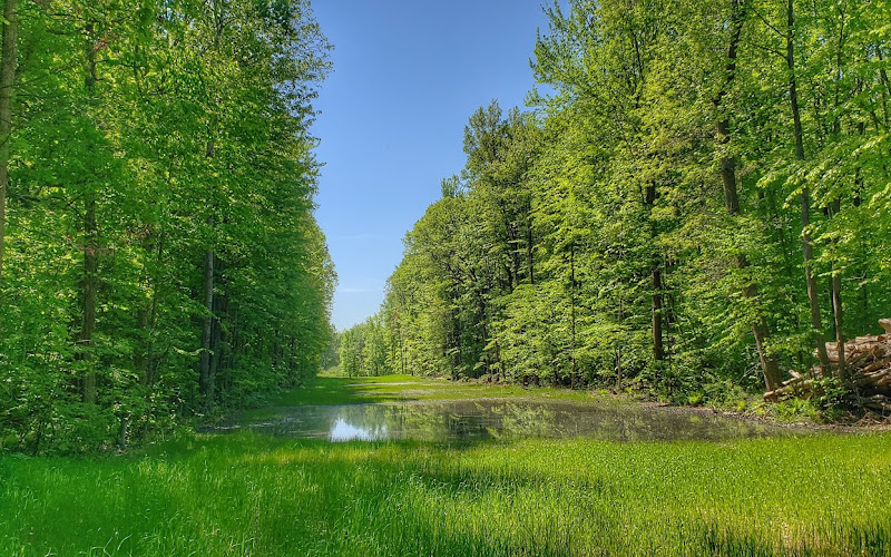 Price Nature Center