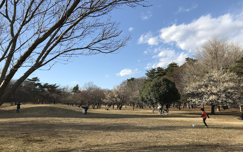 노가와 공원
