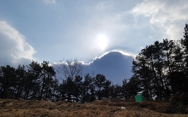 남산근린공원