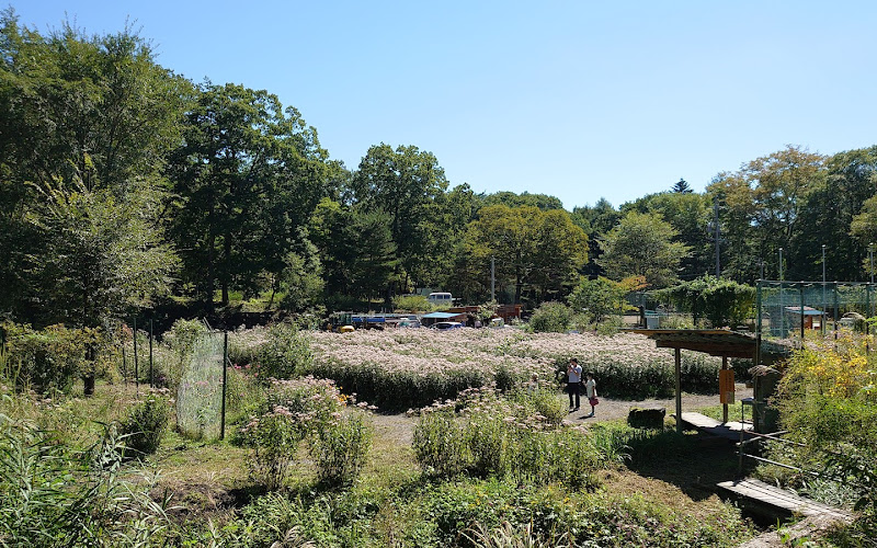 Chou no Rakuen/Butterfly Paradise