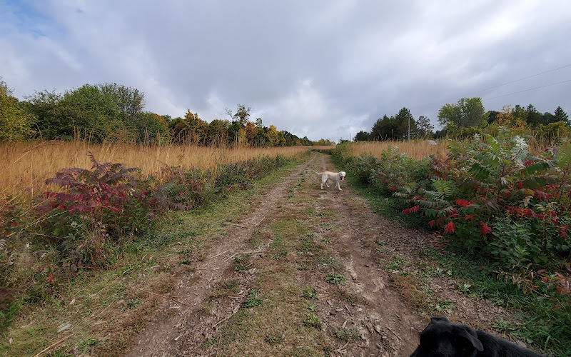 프레리 모레인 도크 공원