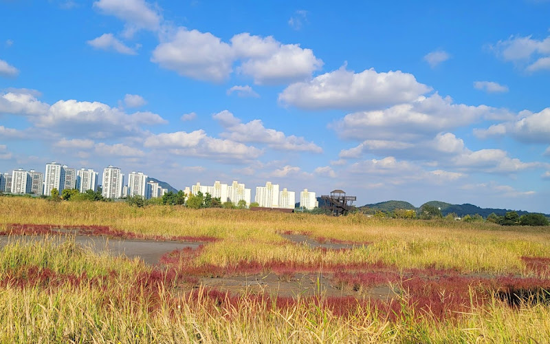소래습지 생태공원