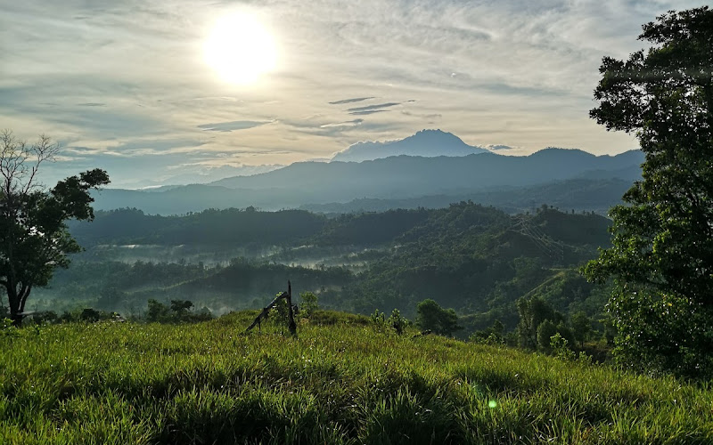 Janggut Hill Starting Point
