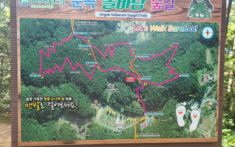 운곡 솔바람숲길