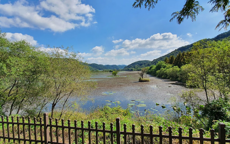 정양늪 생태공원