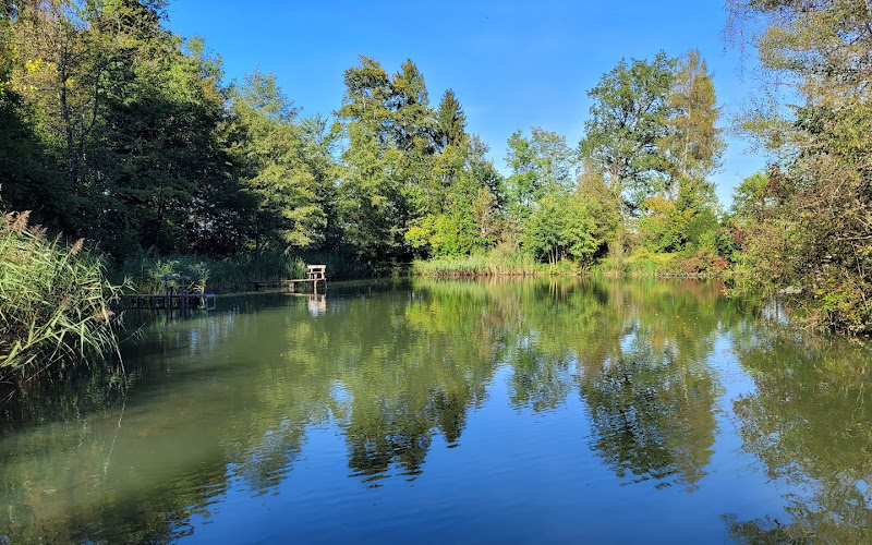 Scherzer Weiher