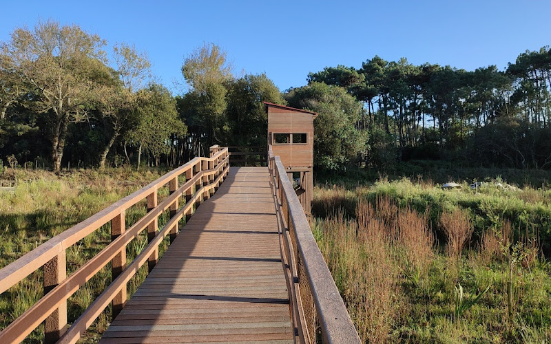 Observatório do canal de Esposende