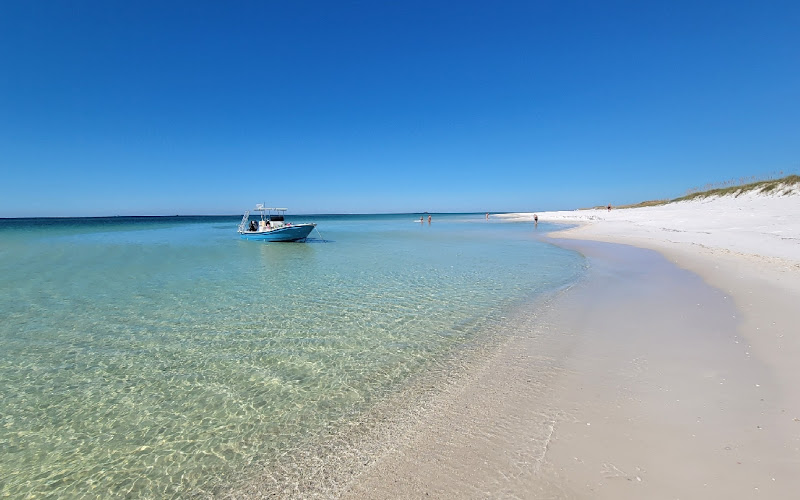 Dolphin And Snorkel Tours Inc.