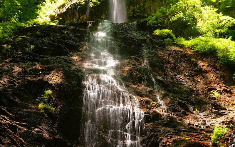Gongendaki Waterfall - Joyama Nature Promenade