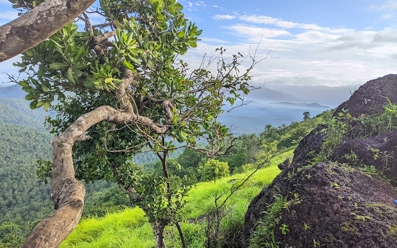 Ponkunnu Hills East view point
