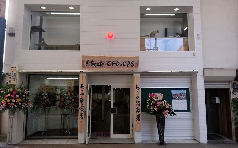 猫Cafe C･F･D