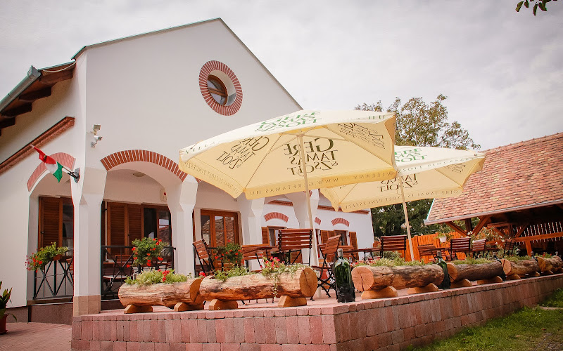 Gere Tamás Pincészete Diófa Panzió