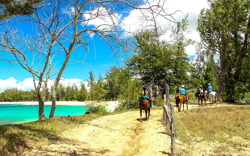 Hawaii Polo Oceanfront Trail Rides