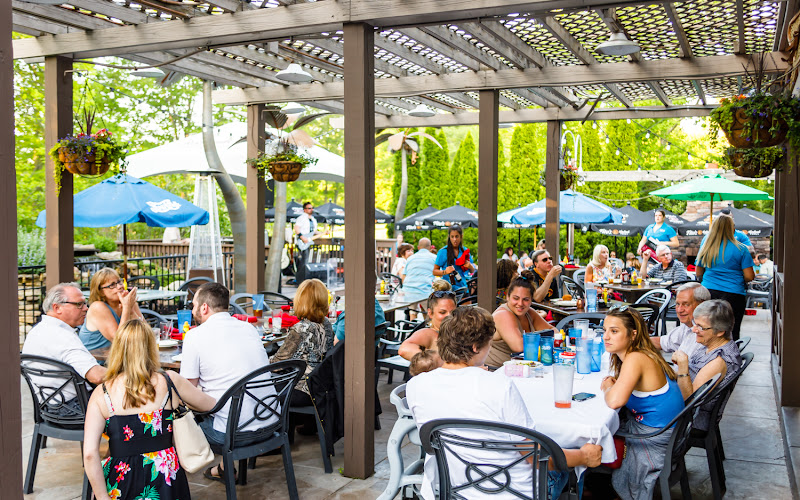 Redhawk Grille