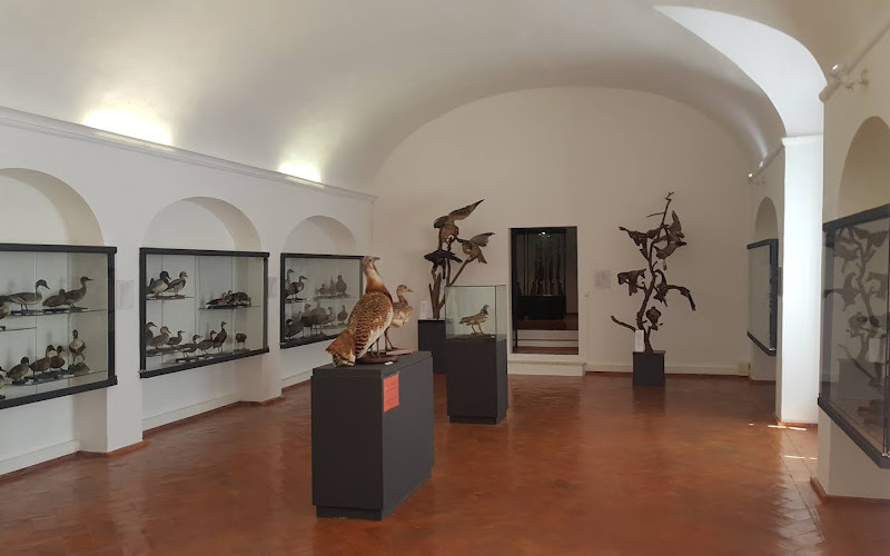 Museu de Arqueologia e Museu da Caça