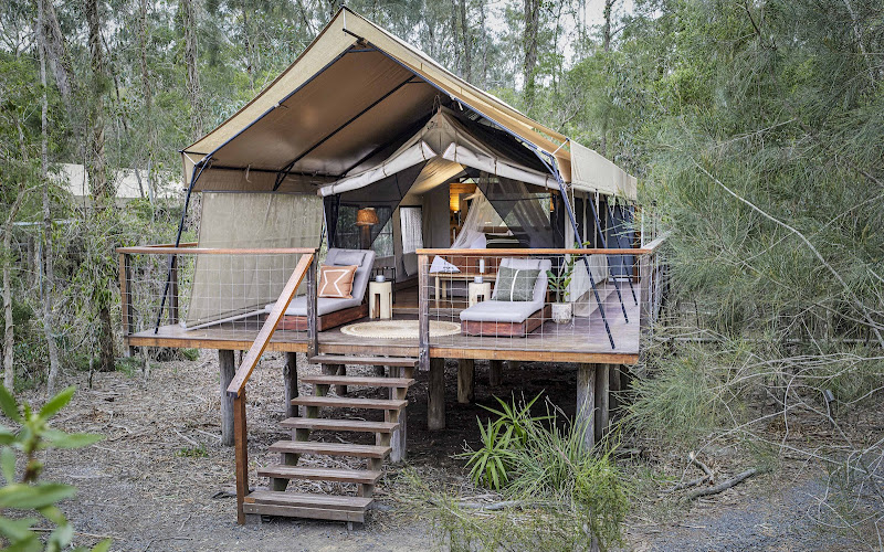 Paperbark Camp