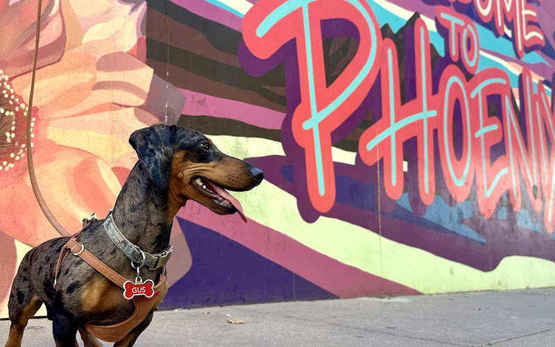 Welcome to Phoenix Mural by Kayla Newnam