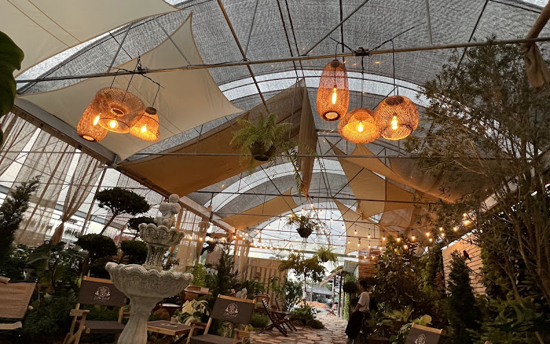 Little Land Cactus Cafe’