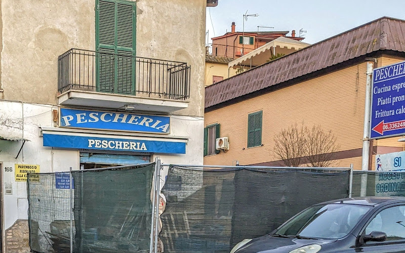 Mister Fish Srl Ristopescheria