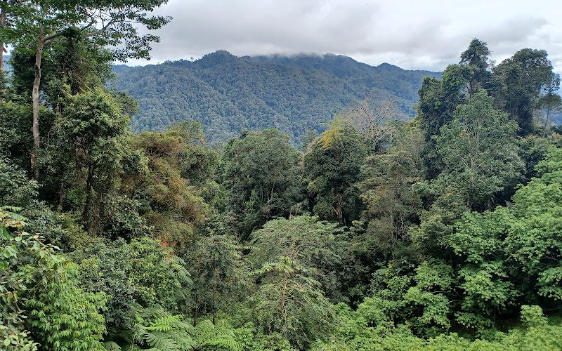 Jambatan Fraser's Hill (Bridge)