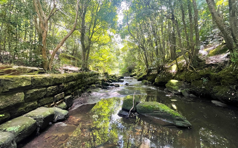 Flat Rock Creek