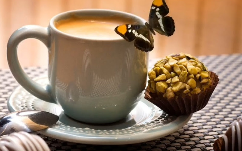 Adore Brigaderia e Café - Mercadão de Maringá